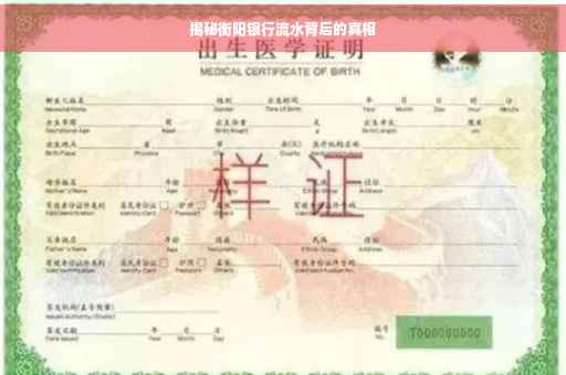 揭秘衡阳银行流水背后的真相