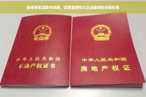 法律事实证明书详解，证据重要性与正当程序的关键作用