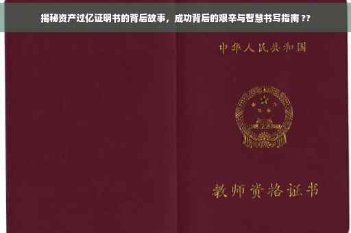 揭秘资产过亿证明书的背后故事，成功背后的艰辛与智慧书写指南 ??