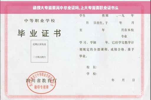 函授大专需要高中毕业证吗,上大专需要职业证书么