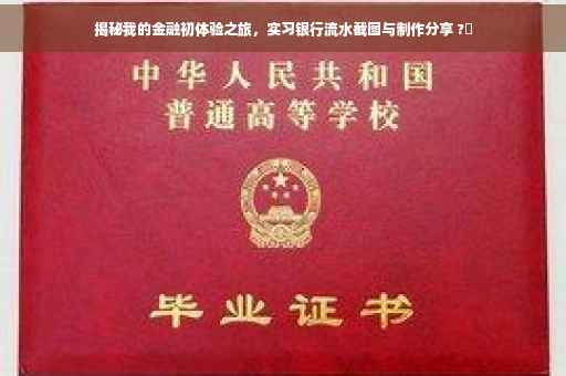 揭秘我的金融初体验之旅，实习银行流水截图与制作分享 ?✨