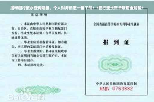 揭秘银行流水查询途径，个人财务动态一目了然！?银行流水账单明细全解析?