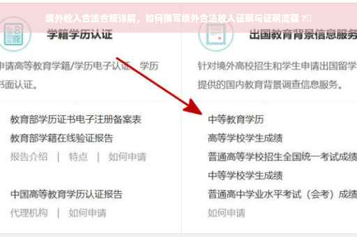 境外收入合法合规详解，如何撰写境外合法收入证明与证明流程 ?✨