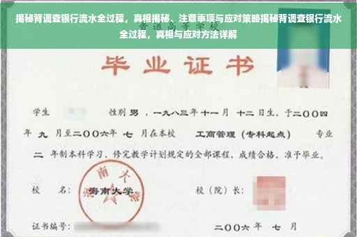 揭秘背调查银行流水全过程，真相揭秘、注意事项与应对策略揭秘背调查银行流水全过程，真相与应对方法详解