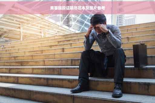 青苗损毁证明书范本及图片参考