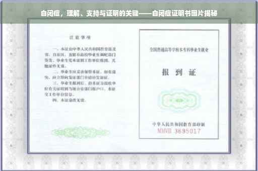 自闭症，理解、支持与证明的关键——自闭症证明书图片揭秘