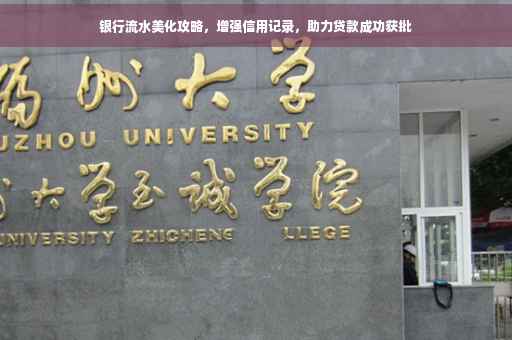 银行流水美化攻略，增强信用记录，助力贷款成功获批