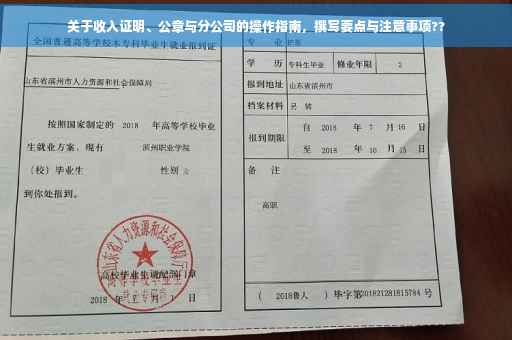 关于收入证明、公章与分公司的操作指南，撰写要点与注意事项??