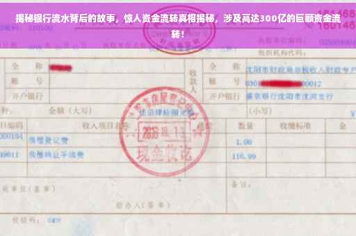 揭秘银行流水背后的故事，惊人资金流转真相揭秘，涉及高达300亿的巨额资金流转！