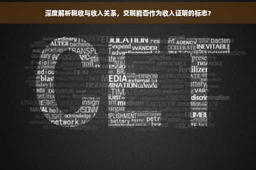 深度解析税收与收入关系，交税能否作为收入证明的标志？