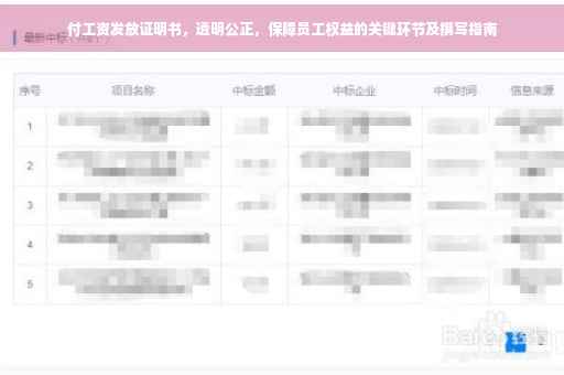 付工资发放证明书，透明公正，保障员工权益的关键环节及撰写指南