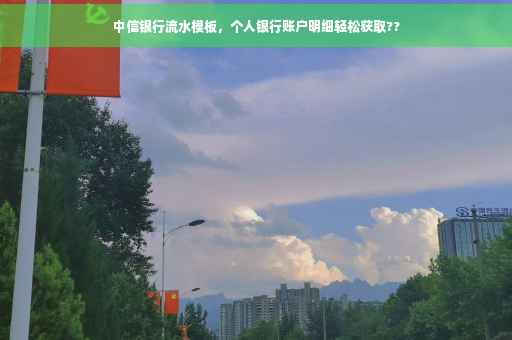 中信银行流水模板，个人银行账户明细轻松获取??