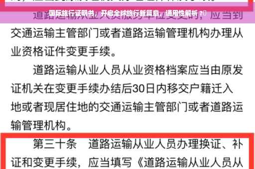 国际旅行证明书，开启全球旅行新篇章，通用性解析 ?✨