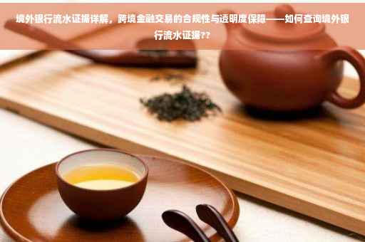 境外银行流水证据详解，跨境金融交易的合规性与透明度保障——如何查询境外银行流水证据??