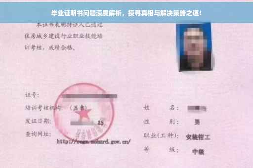 毕业证明书问题深度解析，探寻真相与解决策略之道！