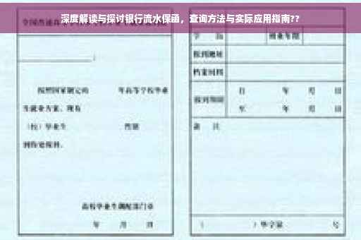 深度解读与探讨银行流水保函，查询方法与实际应用指南??