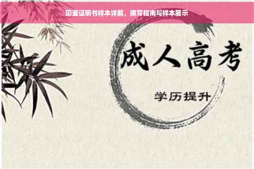 印鉴证明书样本详解，撰写指南与样本展示