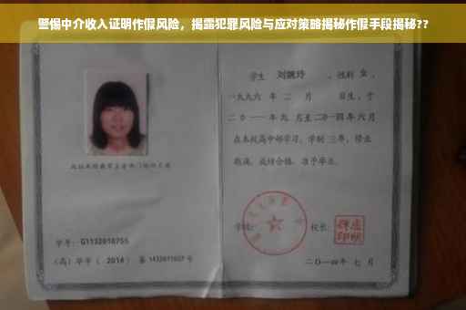 警惕中介收入证明作假风险，揭露犯罪风险与应对策略揭秘作假手段揭秘??