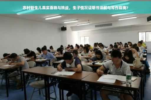 农村新生儿真实面貌与挑战，生子情况证明书详解与写作指南?