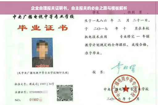 企业自理报关证明书，自主报关的必由之路与模板解析
