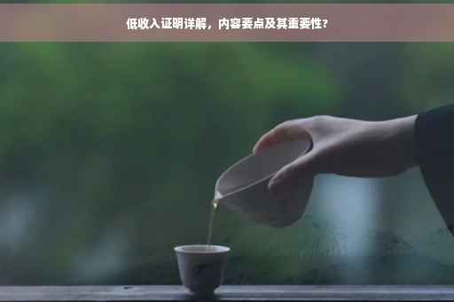 低收入证明详解，内容要点及其重要性?