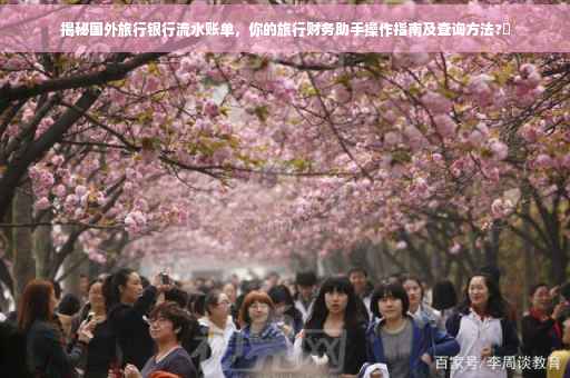 揭秘国外旅行银行流水账单，你的旅行财务助手操作指南及查询方法?✨