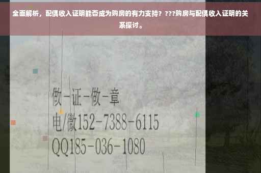 全面解析，配偶收入证明能否成为购房的有力支持？???购房与配偶收入证明的关系探讨。