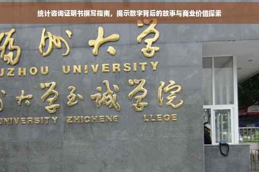 统计咨询证明书撰写指南，揭示数字背后的故事与商业价值探索