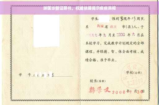 浙医诊断证明书，权威依据揭示疾病真相