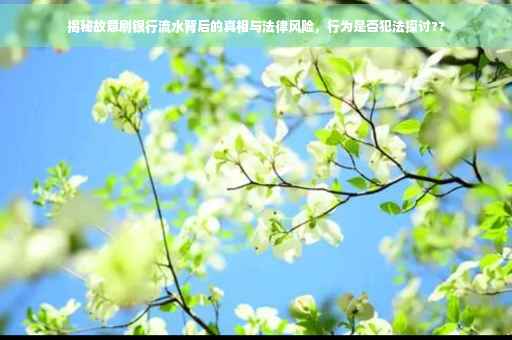 揭秘故意刷银行流水背后的真相与法律风险，行为是否犯法探讨??