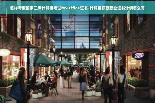 怎样考取国家二级计算机考试MSOffice证书-计算机获取职业证书计划怎么写