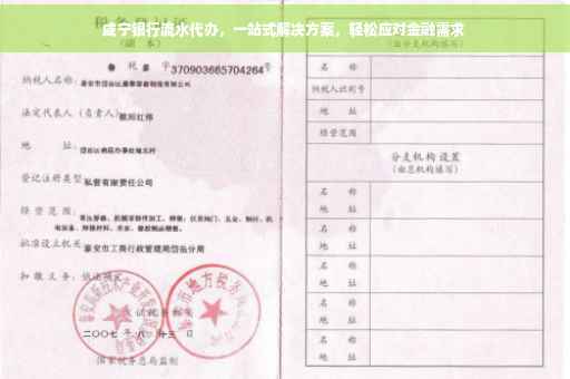 咸宁银行流水代办，一站式解决方案，轻松应对金融需求