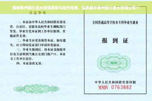 揭秘惠州银行流水担保真相与操作指南，深度解析惠州银行流水担保公司?✨