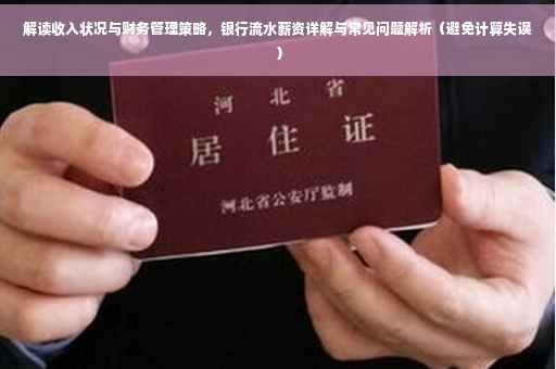 解读收入状况与财务管理策略，银行流水薪资详解与常见问题解析（避免计算失误）
