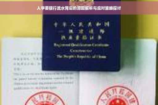 入学要银行流水背后的原因解析与应对策略探讨