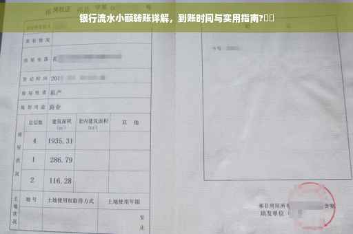 银行流水小额转账详解，到账时间与实用指南?⚡️