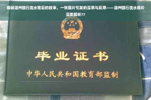 揭秘温州银行流水背后的故事，一张图片引发的深思与反思——温州银行流水图片深度解析??