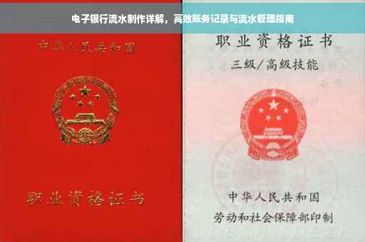 电子银行流水制作详解，高效账务记录与流水管理指南