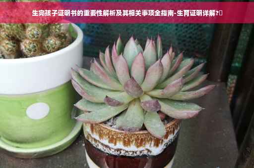 生完孩子证明书的重要性解析及其相关事项全指南-生育证明详解?✨