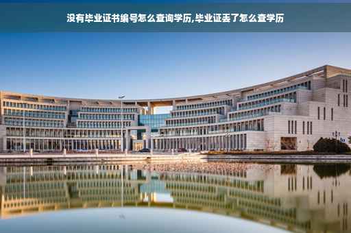 没有毕业证书编号怎么查询学历,毕业证丢了怎么查学历