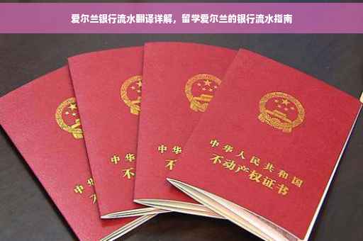爱尔兰银行流水翻译详解，留学爱尔兰的银行流水指南