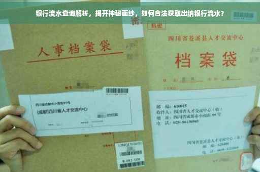 银行流水查询解析，揭开神秘面纱，如何合法获取出纳银行流水？