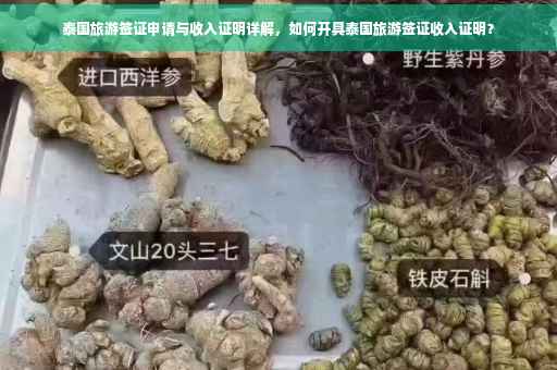 泰国旅游签证申请与收入证明详解，如何开具泰国旅游签证收入证明？