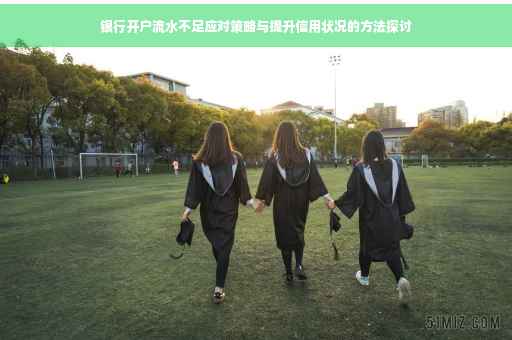 银行开户流水不足应对策略与提升信用状况的方法探讨