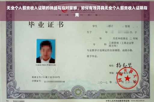 无业个人薪资收入证明的挑战与应对策略，如何有效开具无业个人薪资收入证明指南