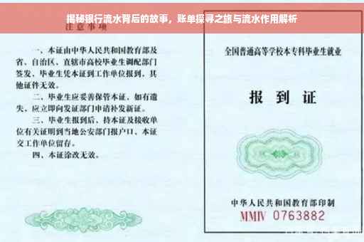 揭秘银行流水背后的故事，账单探寻之旅与流水作用解析