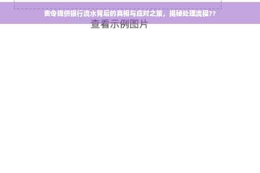 责令提供银行流水背后的真相与应对之策，揭秘处理流程??