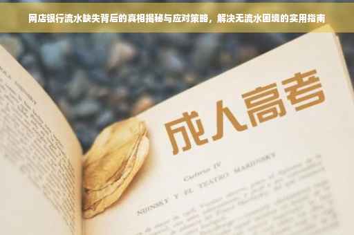 网店银行流水缺失背后的真相揭秘与应对策略，解决无流水困境的实用指南