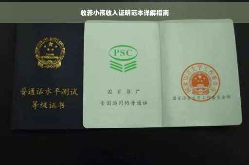 收养小孩收入证明范本详解指南