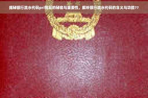 揭秘银行流水代码pri背后的秘密与重要性，解析银行流水代码的含义与功能??